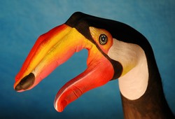 Toucan on blue Hand Painting | Guido Daniele