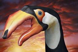 Toucan on sky Hand Painting | Guido Daniele