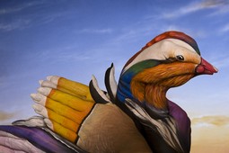 Mandarin Duck Hand Painting | Guido Daniele