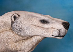 Polar Bear Hand Painting | Guido Daniele
