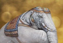 Thai White Elephant Hand Painting | Guido Daniele