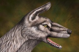 Wolf Hand Painting | Guido Daniele
