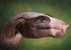 Hound Dog Hand Painting | Guido Daniele