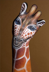 Giraffe Hand Painting | Guido Daniele