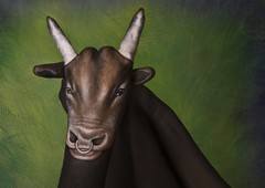 Bull Hand Painting | Guido Daniele