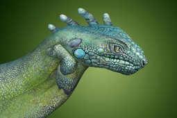 Iguana Hand Painting | Guido Daniele
