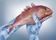 Seabean Fish Hand Painting | Guido Daniele