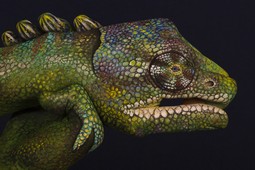 Chameleon Hand Painting | Guido Daniele