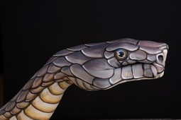 Cobra on black Hand Painting | Guido Daniele