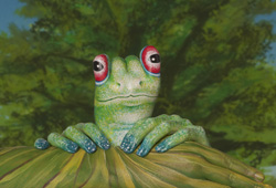 Frog Hand Painting | Guido Daniele