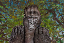 Gorilla Hand Painting | Guido Daniele
