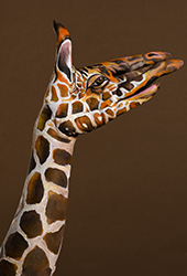 Giraffe Hand Painting | Guido Daniele