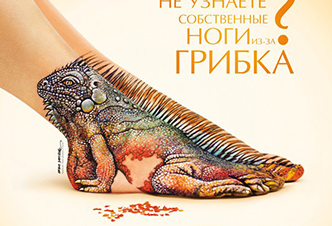 Russia Stada - Iguana 2014