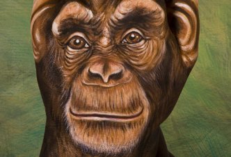 Chimpanzee - Ph. Guido Daniele