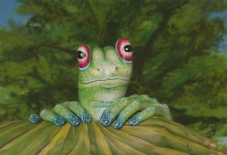 Frog - Ph. M.J. Daniele