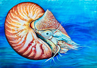 Nautilus - Oil painting on canvas
