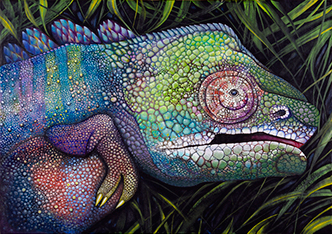 Oil Painting on Canvas - Chameleon
