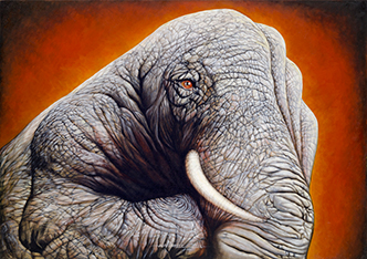 Oil Painting on Canvas - Elephant