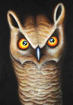 Oil Painting on Canvas - Owl