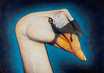 Oil Painting on Canvas - Royal Swan