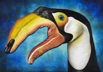 Oil Painting on Canvas - Toucan