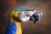 Manimali - pappagallo