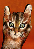 Gatto rosso - posizione 2 - Sigla televisiva per Animal Planet Discovery 2006