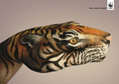 Manimali - Tigre per WWF