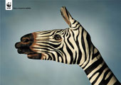 Manimali - Zebra per WWF