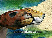 animal planet movie body painting