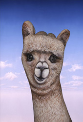 Alpaka Hand Painting | Guido Daniele