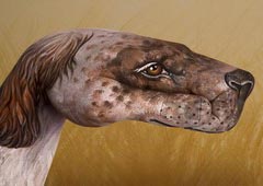 English Setter Hand Painting | Guido Daniele