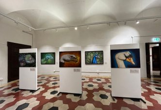 Museo Kosmos Pavia
