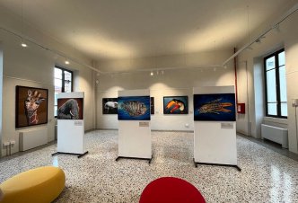 Museo Kosmos Pavia