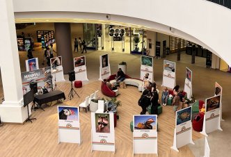 Mostra al FASS Cagliari 