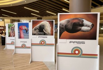 Mostra al FASS Cagliari 