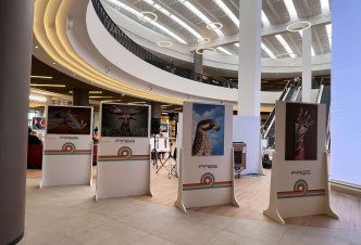 Mostra al FASS Cagliari 