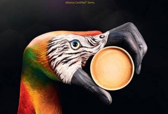 McDonald Café - 2016
