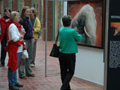 Mostra ad Amburgo, 2008