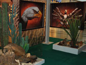 Mostra a Elbe